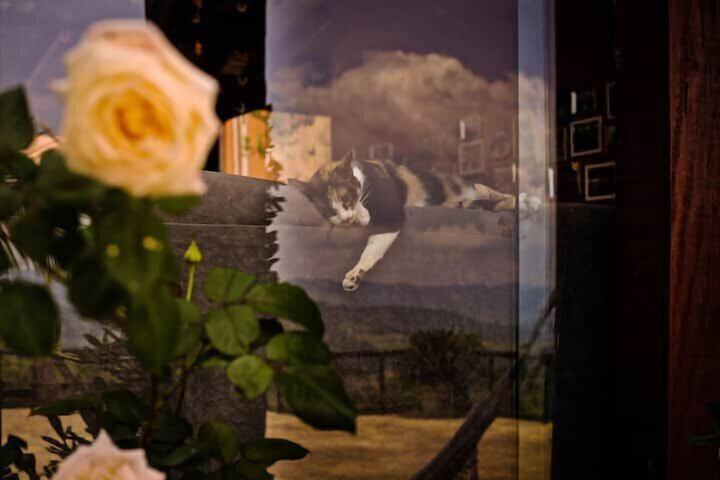 Room 28 of 43