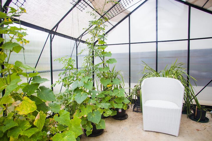 Hotel Exterior 79 of 85