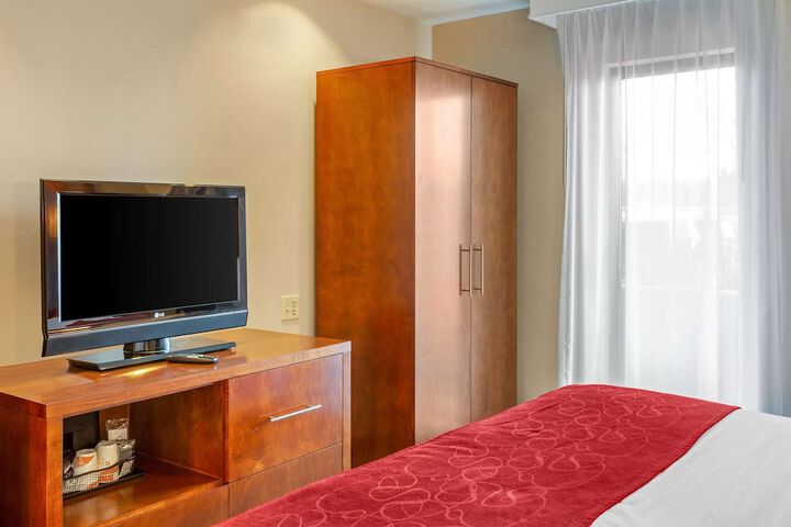 1 King Bed Suite (3 of 14)