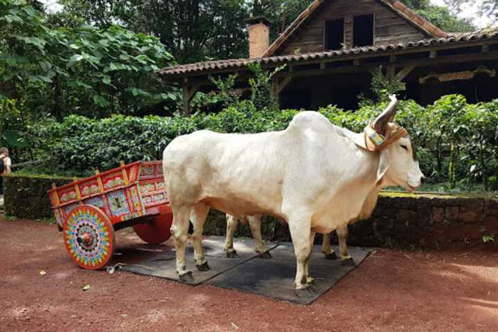 Ecotours
