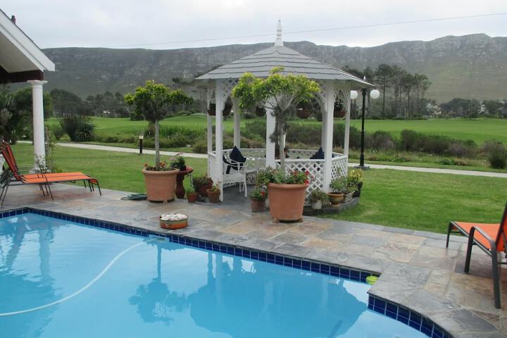 Pool 19 of 39