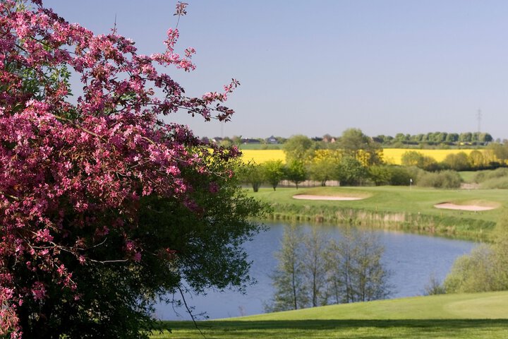 Golf 44 of 73