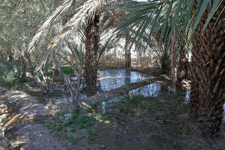 Property Grounds 14 of 22