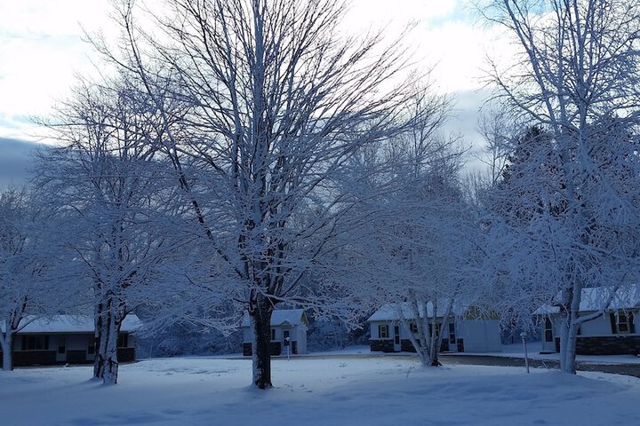 Property Grounds 27 of 39