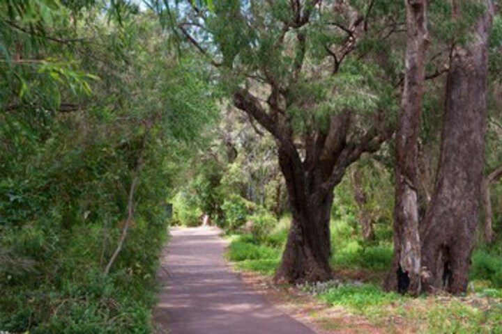 Property Grounds 10 of 13