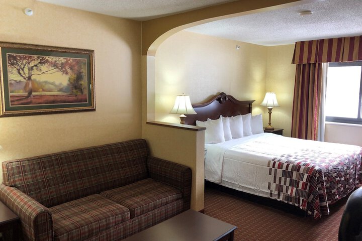 Standard Suite 1 King Bed with Sofa Bed (3 of 6)