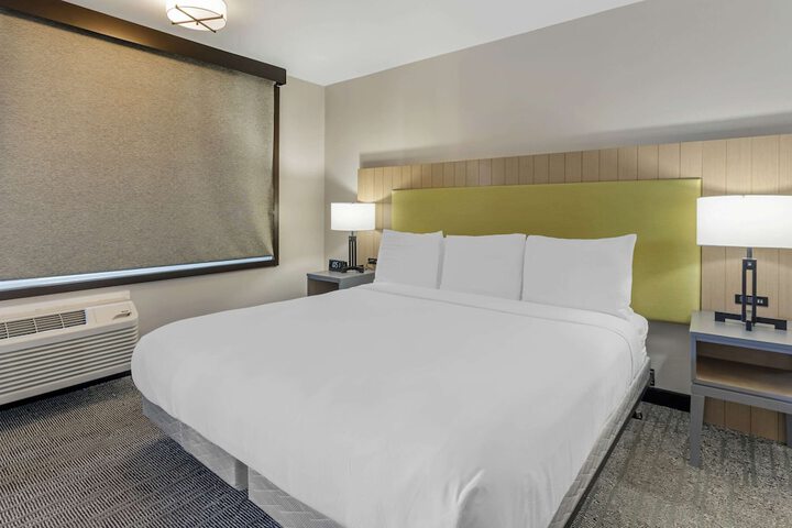 1 King Bed Accessible (8 of 20)