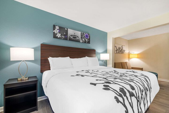Suite King Bed Accessible (4 of 11)