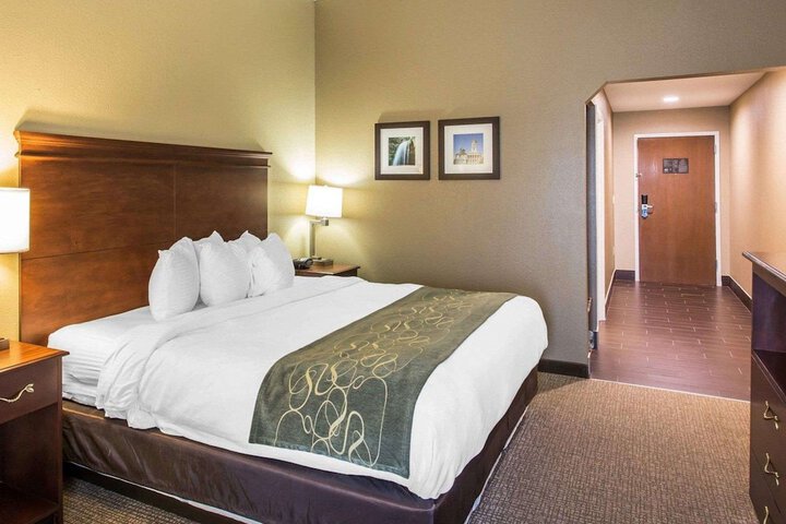 1 King Bed (16 of 17)