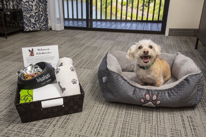 Pet Friendly 22 of 40