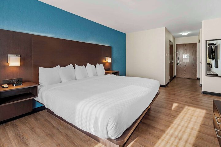 1 King Bed Accessible (5 of 12)