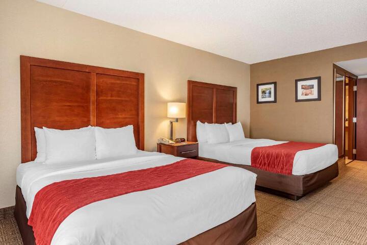2 Queen Beds (4 of 10)
