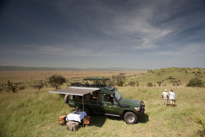 Safari