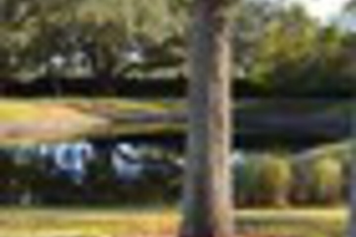 Property Grounds 74 of 81