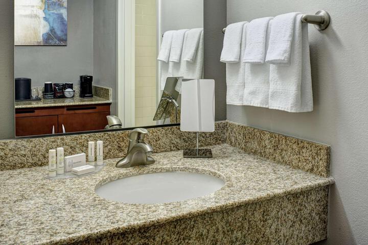 1 King Bed Mobility Hearing Accessible Room Roll in Shower (7 of 13)