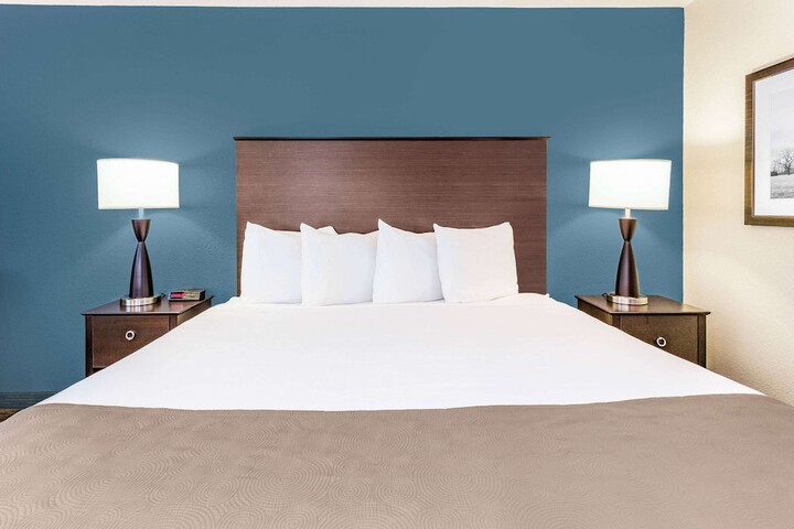 1 King Bed (8 of 12)