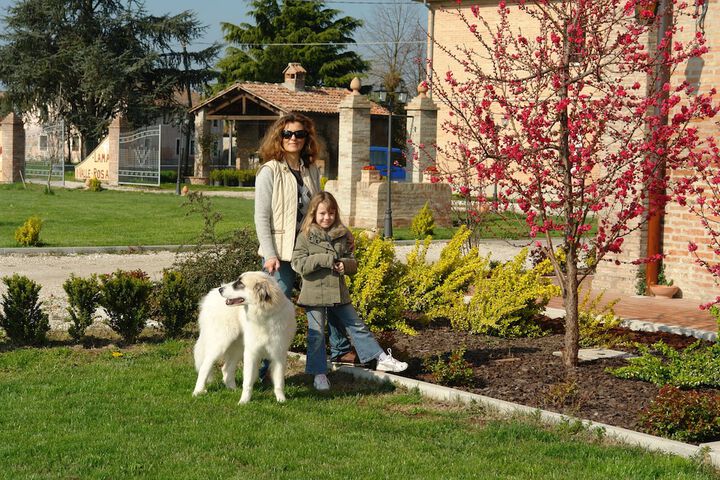 Pet Friendly 57 of 82