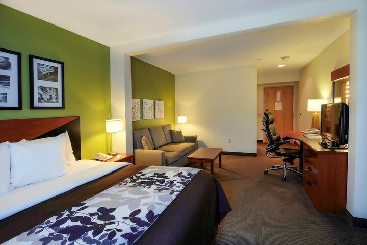 1 King Bed (10 of 11)
