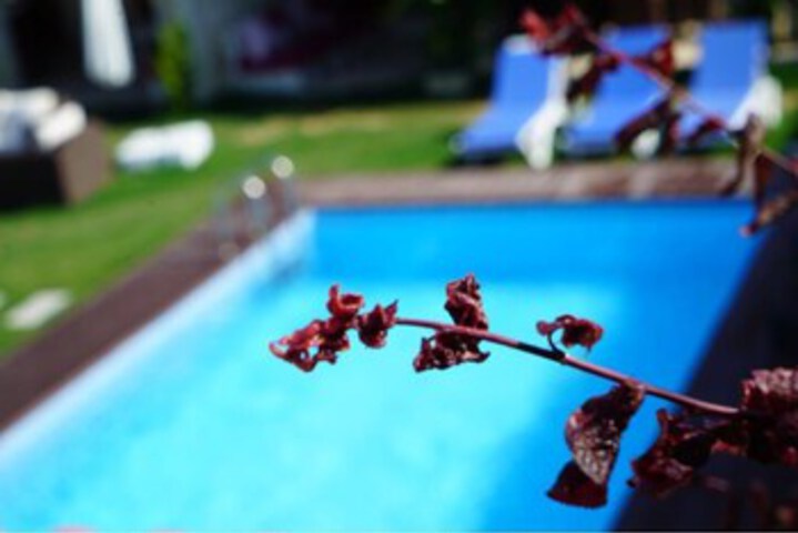 Pool 36 of 82