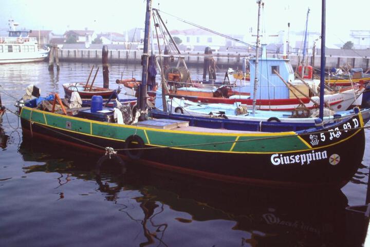 General 5 of 50