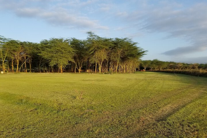 Property Grounds 73 of 104
