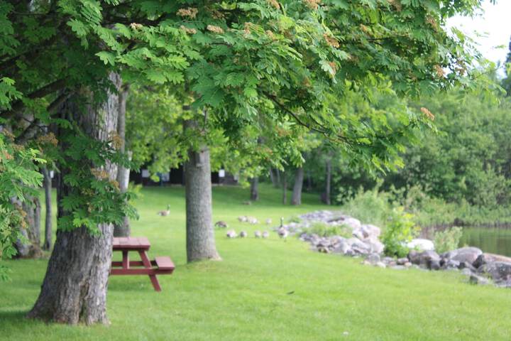 Hotel Exterior 81 of 105