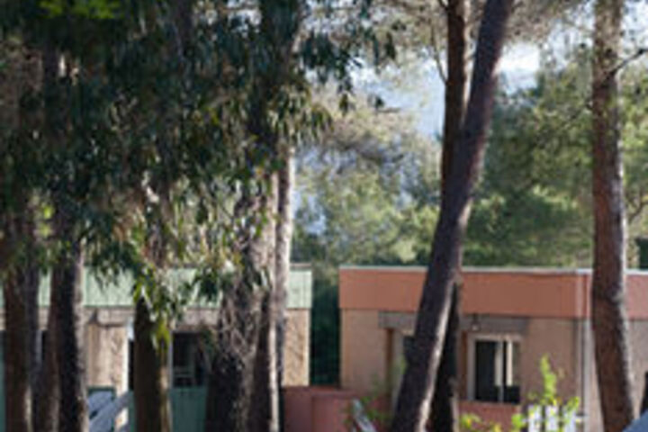 Property Grounds 8 of 11