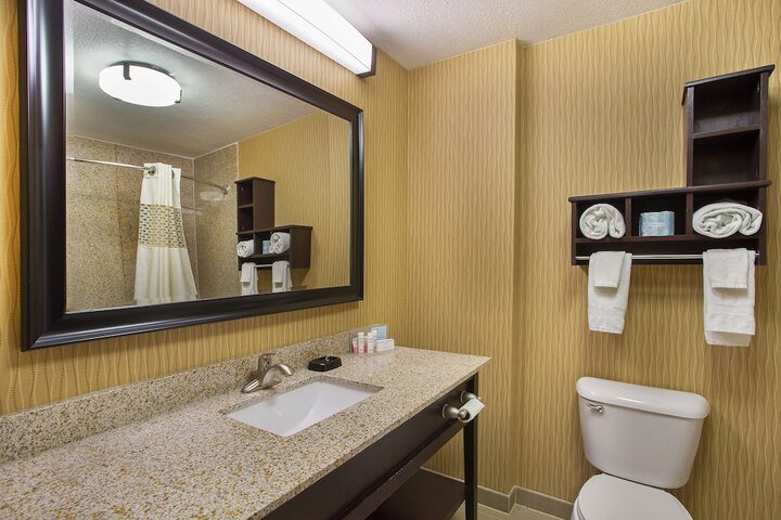 1 King 1 Bedroom Suite with Sofa Bed (2 of 10)