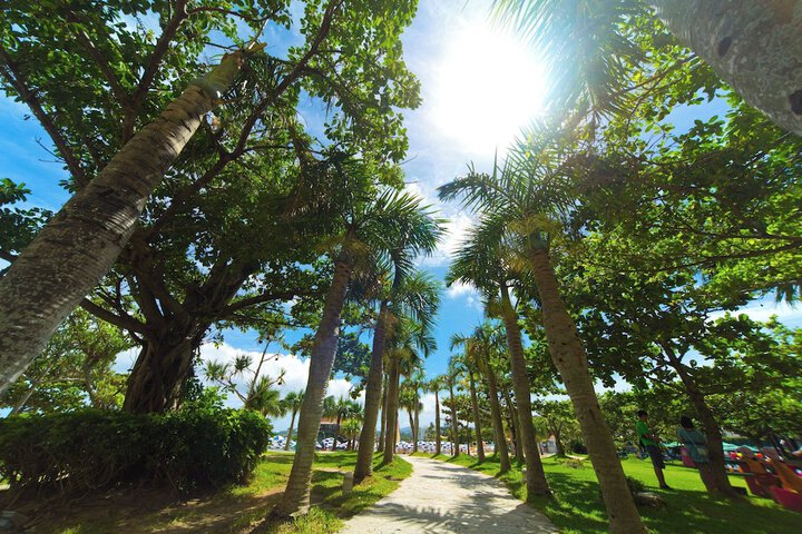 Beach 156 of 183