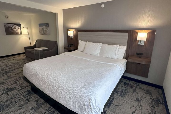 1 King Bed Mobility Accessible Bathtub with Grab Bars (6 of 14)