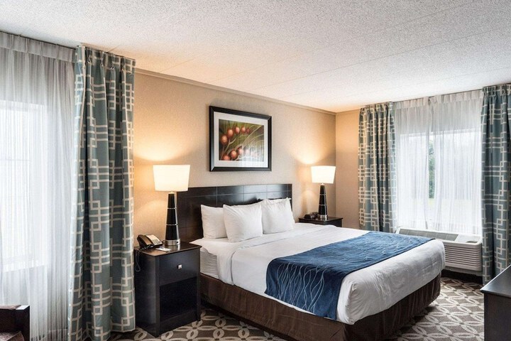 1 King Bed (2 of 15)