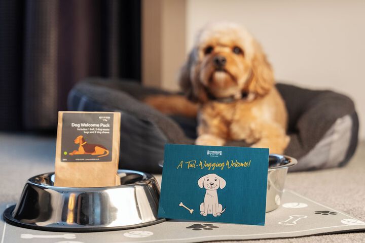 Pet-friendly