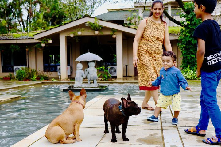 Pet Friendly 83 of 154