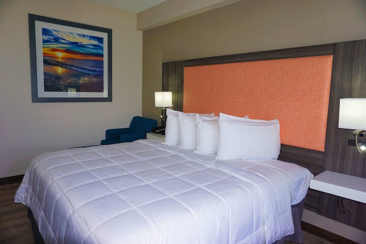 1 King Bed (8 of 13)