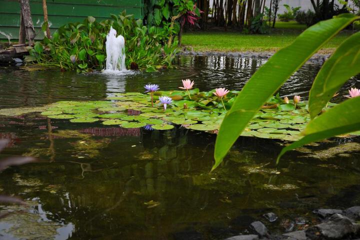 Fitness Facility Photos