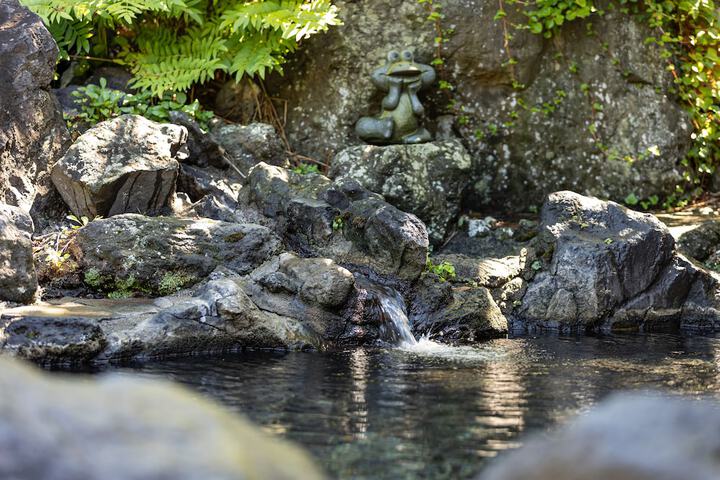 Hot springs