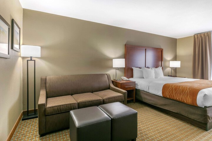 1 King Bed (8 of 23)