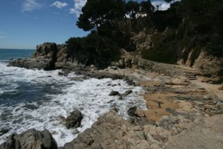 Beach 8 of 37