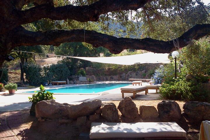 Hotel Pool