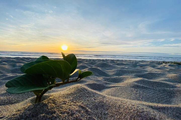 Beach 42 of 52