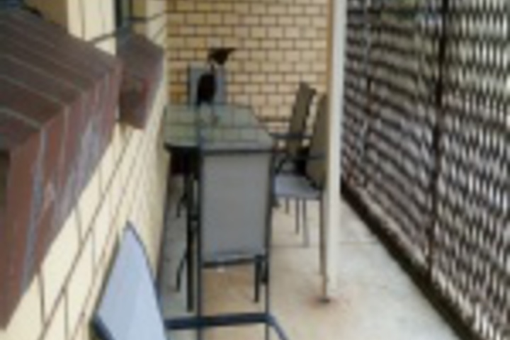 Terrace/Patio 264 of 407