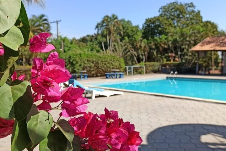 Pool 15 of 29
