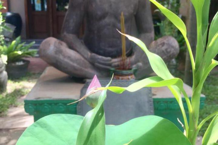 Spa and Wellness Pictures