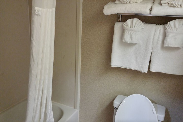 1 King Bed Accessible (2 of 32)