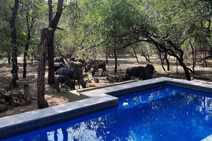 Pool 56 of 79