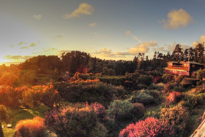 Property Grounds 67 of 87