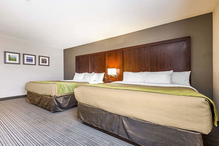 Efficiency Suite 2 Queen Beds (8 of 9)