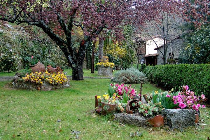 Spa and Wellness Pictures