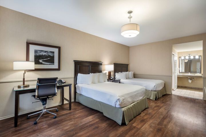 Standard 2 Double Beds Accessible (5 of 6)
