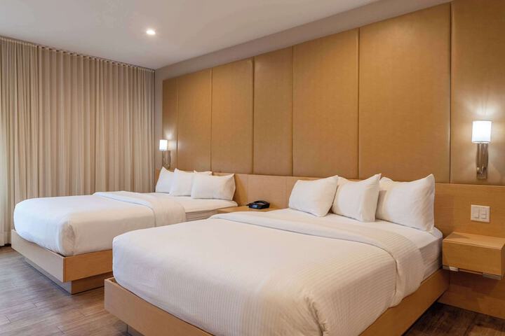 2 Queen Beds (17 of 22)